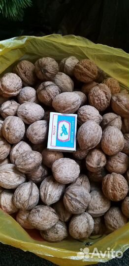 Грецкий орех