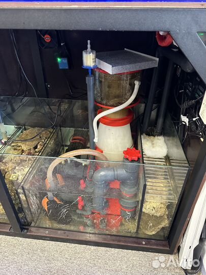 Продам морской аквариум