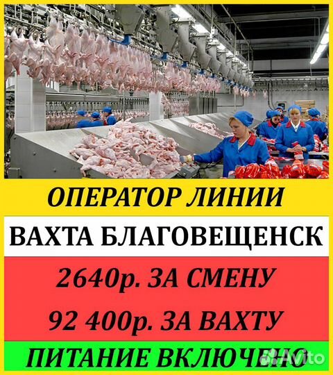 Вахта в Благовещенске/Оператор птицефабрики