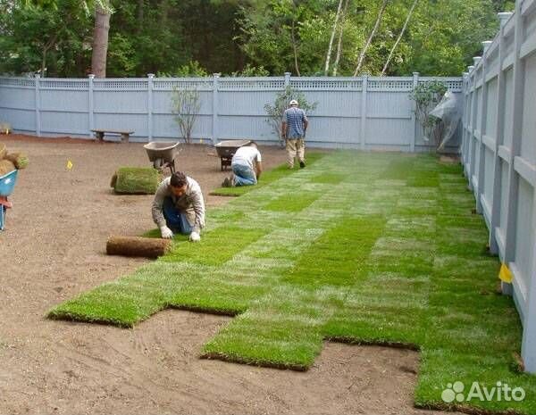 Рулонный газон под ключ