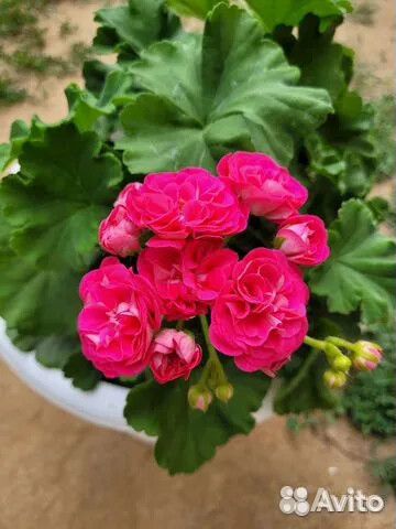 Очки тренажеры для глаз