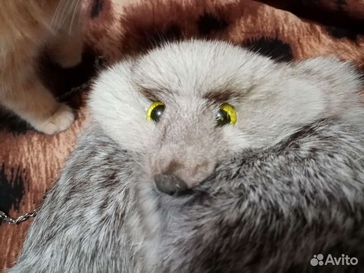 Сумка женская новая