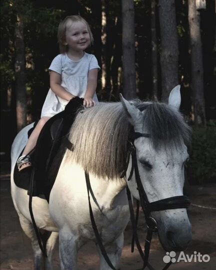 Конные прогулки