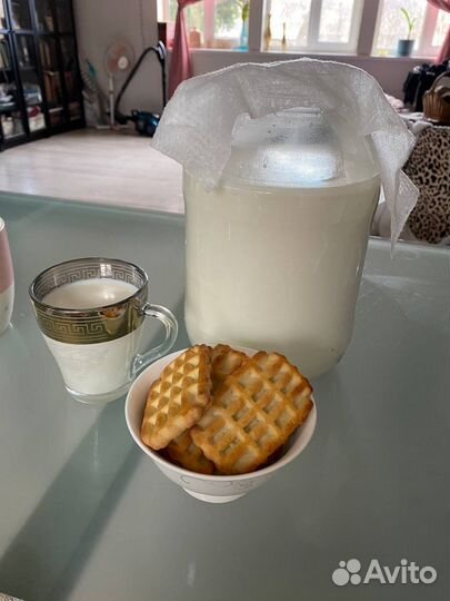 Козье молоко, сыр