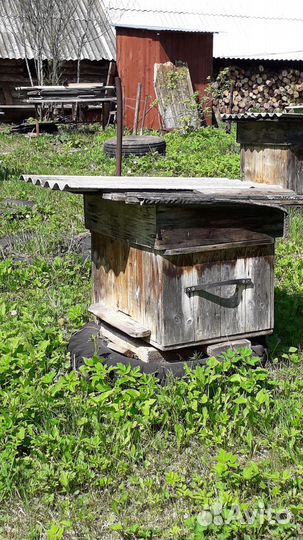 Продаю 2 пчелосемьи с ульями