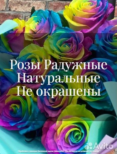 Радужные Розы, оригинальный подарок