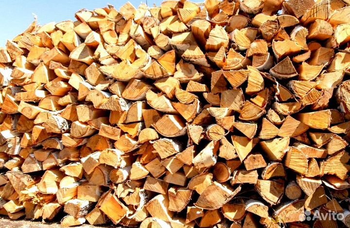 Дрова свежие