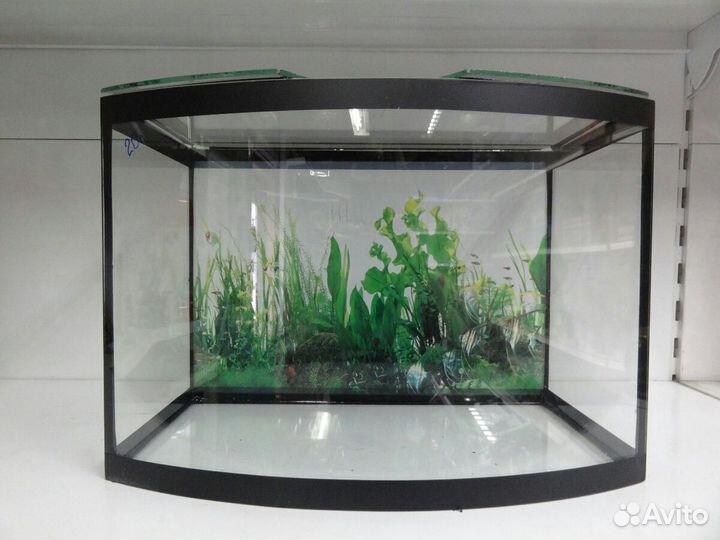 Аквариумы новые