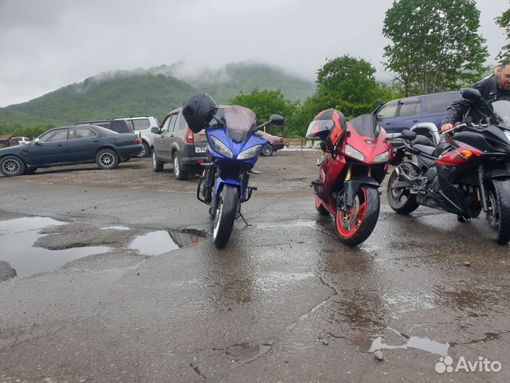 Honda CBR 600rr