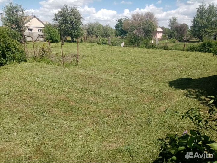 Спил деревьев, в спашка и культивирование земли по