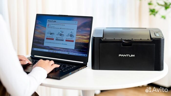 Функциональный Принтер Pantum P2516 Гарантия