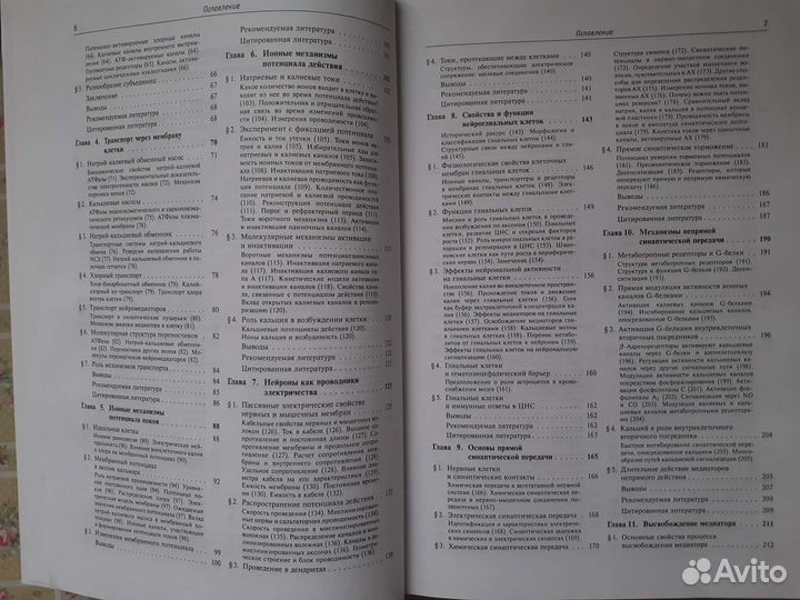 От нейрона к мозгу