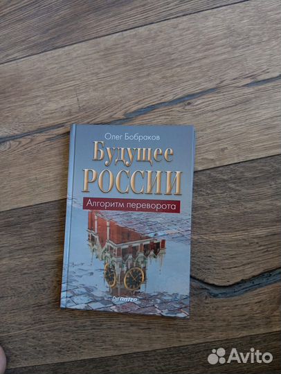 Олег Браков. Будущее России. Алгоритм переворота