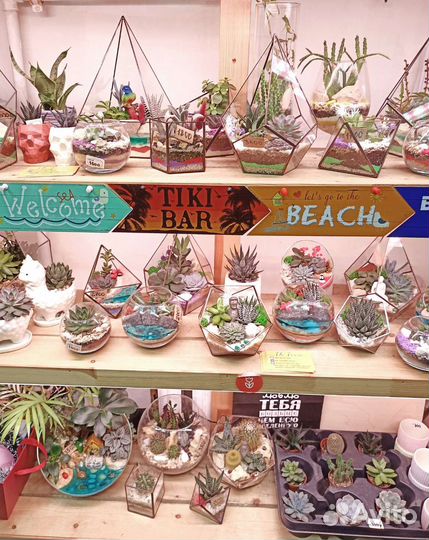 Флорариум в подарок