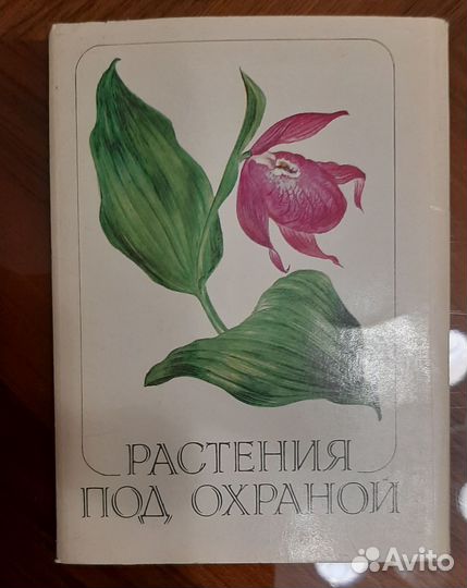 Открытки экскурсия в природу растения