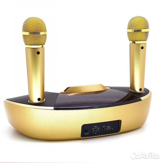 Караоке система Орбита OT-ERM09 золотая, 2 микрофо