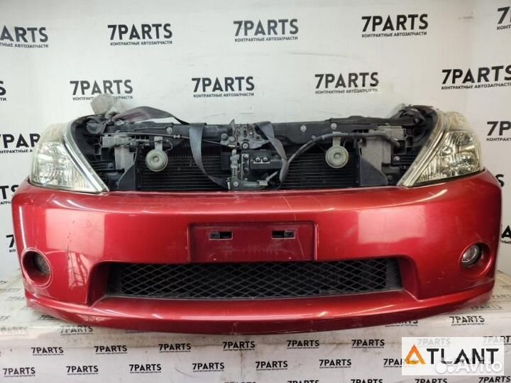 Ноускат nissan presage