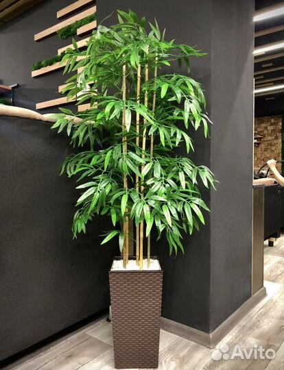 Бамбук дерево искусственное