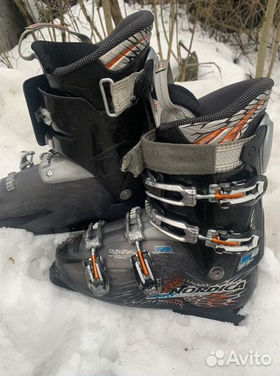 Горнолыжные ботинки