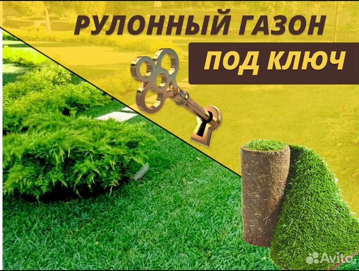 Спортивный рулонный газон под ключ