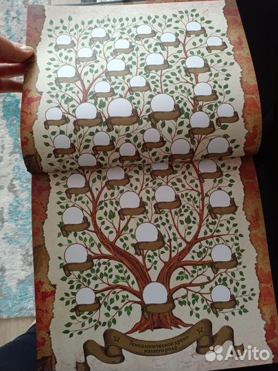 Семейное древо. Родословная книга