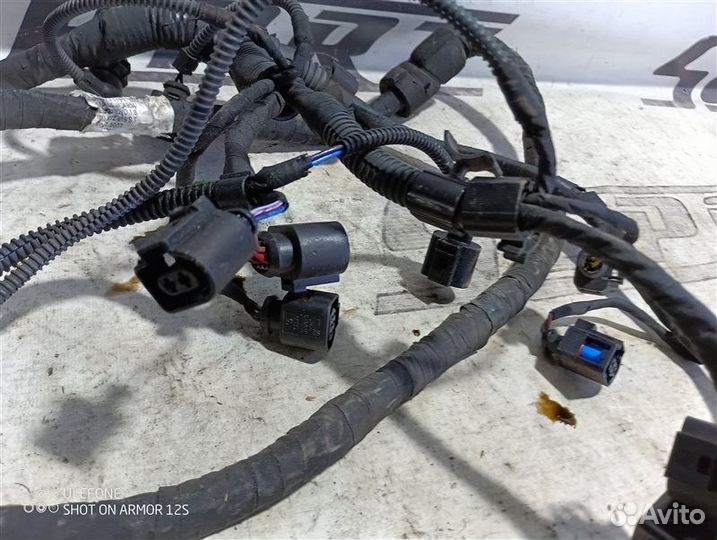 Проводка двигателя (коса) Audi A3 8P 1.8 CDA 2009