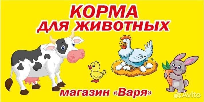 Корм для животных
