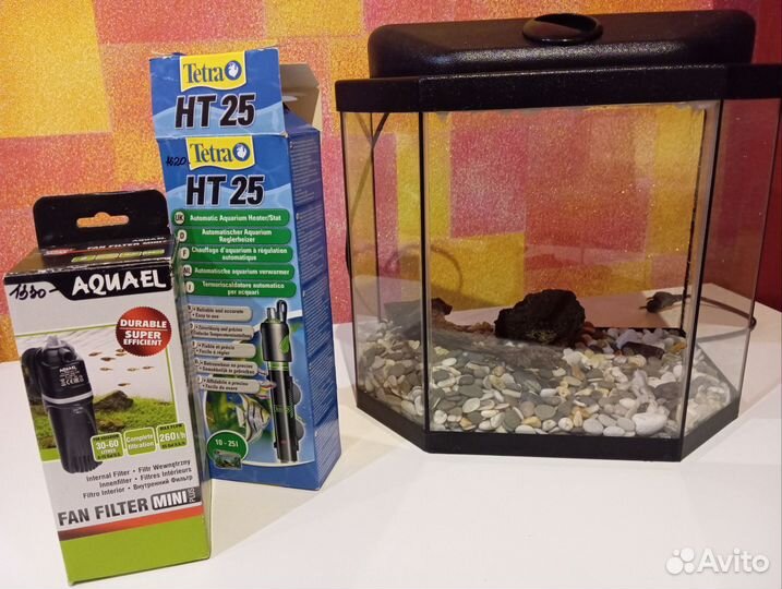 Аквариум с содержимым