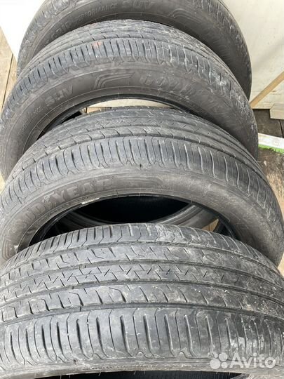 Goodyear EfficientGrip Performance SUV 225/55 R19 99