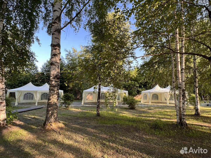 Аренда прокат Шатров