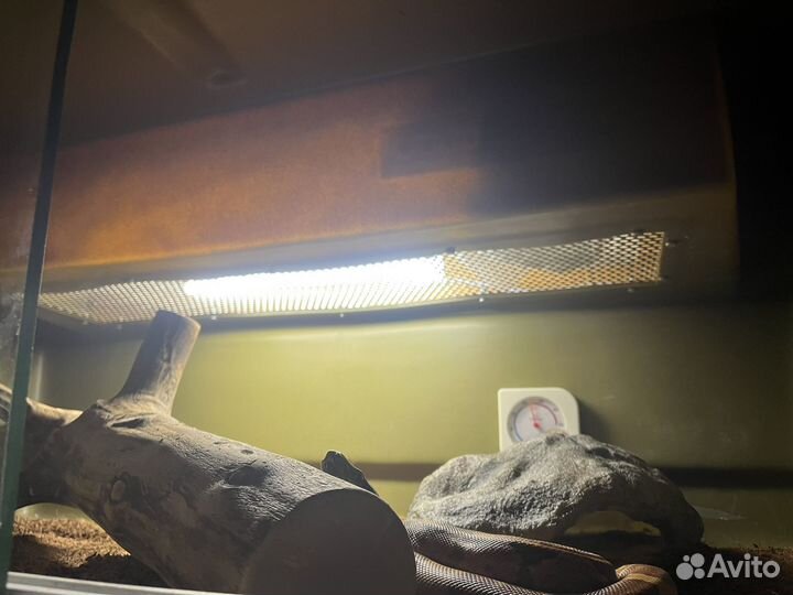 Террариум для рептилий