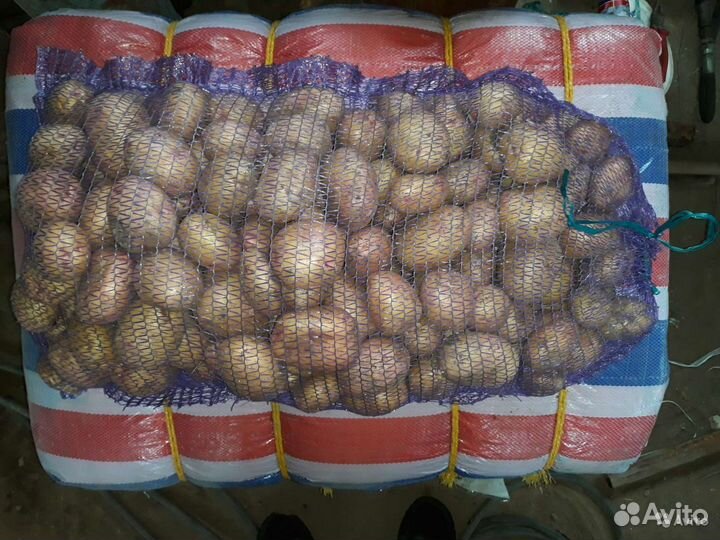 Картофель Новый урожай