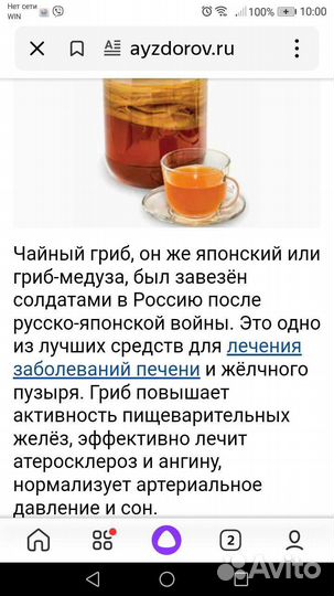 Чайный гриб комбуча