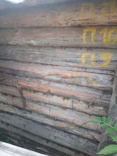 Участок 1 сот. (СНТ, ДНП)