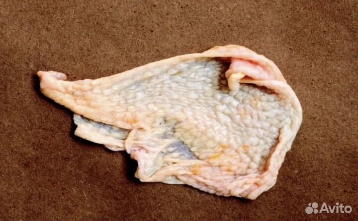 Кожа куриная