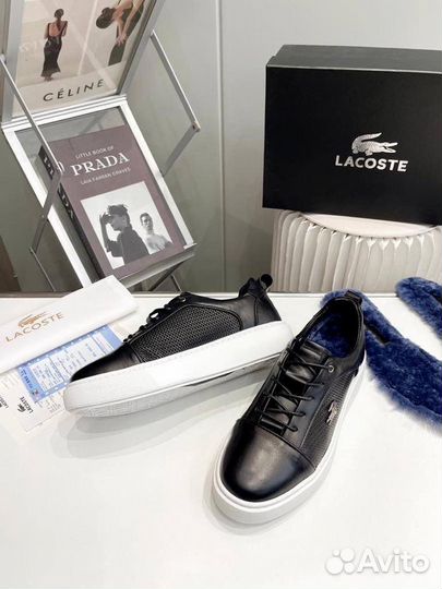 Кеды мужские зимние lacoste