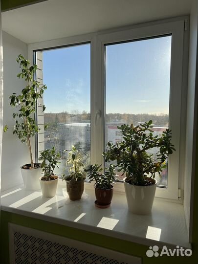 Окно пластиковое 1350х1450 мм