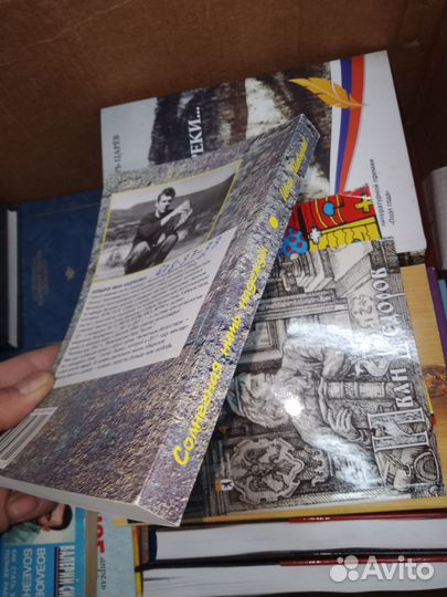 Шиверев, Солнечная нить надежды,2010 г