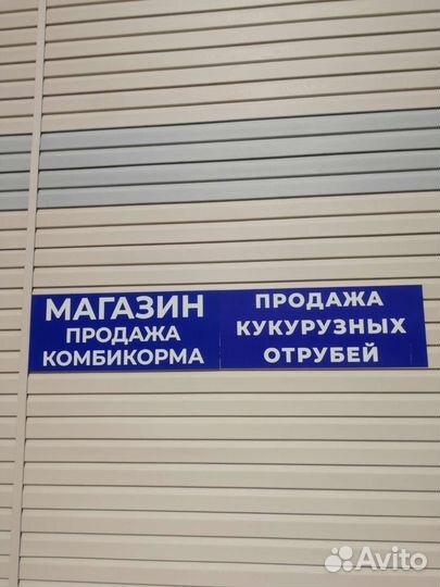 Зерно пшеница ячмень кукуруза