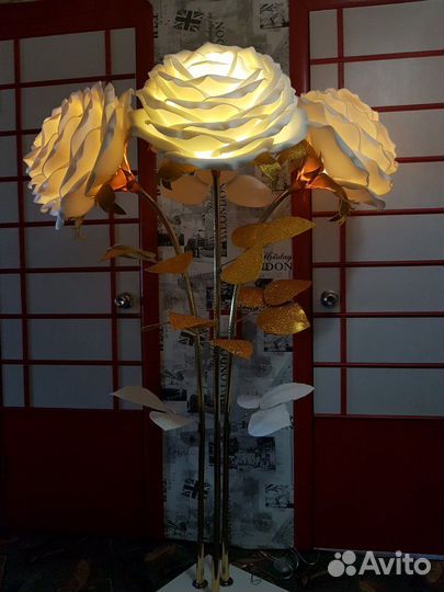 Цветы гиганты Ростовые цветы Изолон