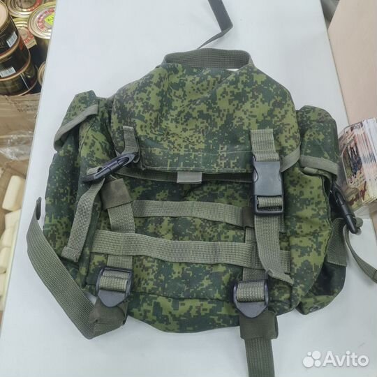 Сухарка (мородека )