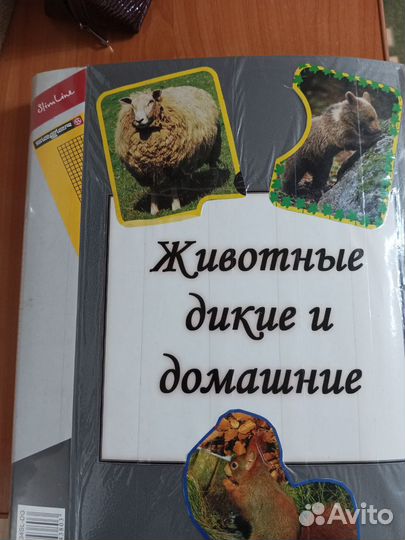 Альбом с картинками животных
