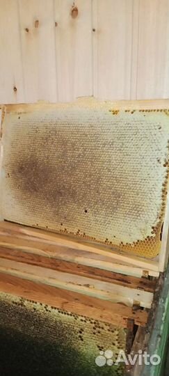 Рамки с медом вес 3-4кг