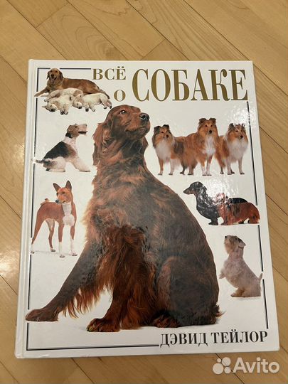 Книга Дэвид Тейлор «Все о собаке». Новая