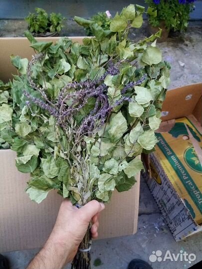 Веник берёзовый