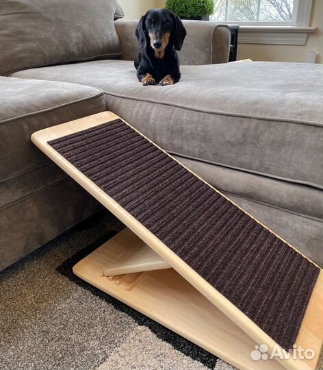 Пандус для собак