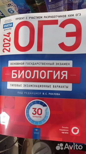 Подготовка к ОГЭ, ЕГЭ 2024г