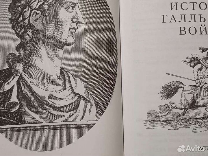 Гай Юлий Цезарь История галльской войны