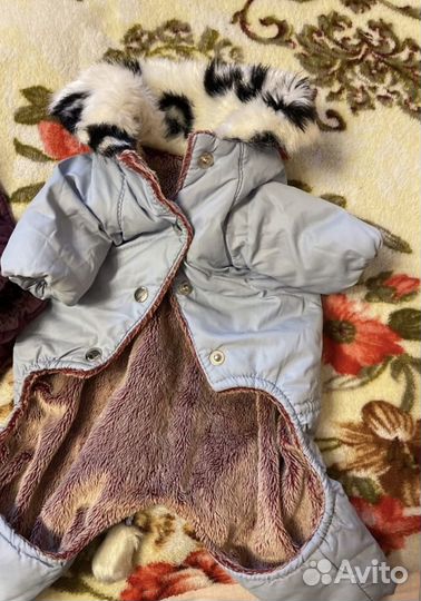 Одежда, обувь для маленькой собачки