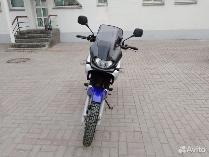 Suzuki XF650 Freewind